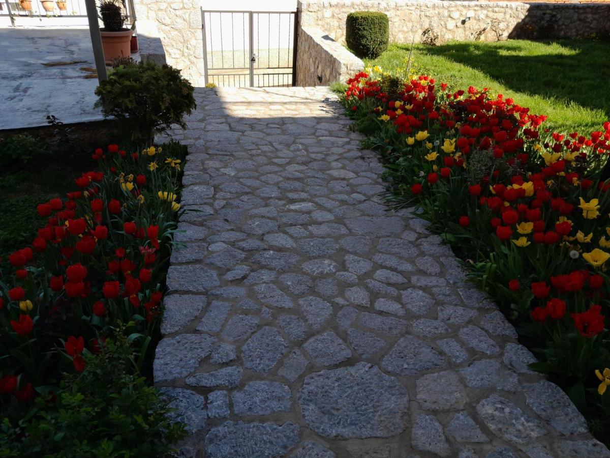 Villa Bella Ohrid Buitenkant foto